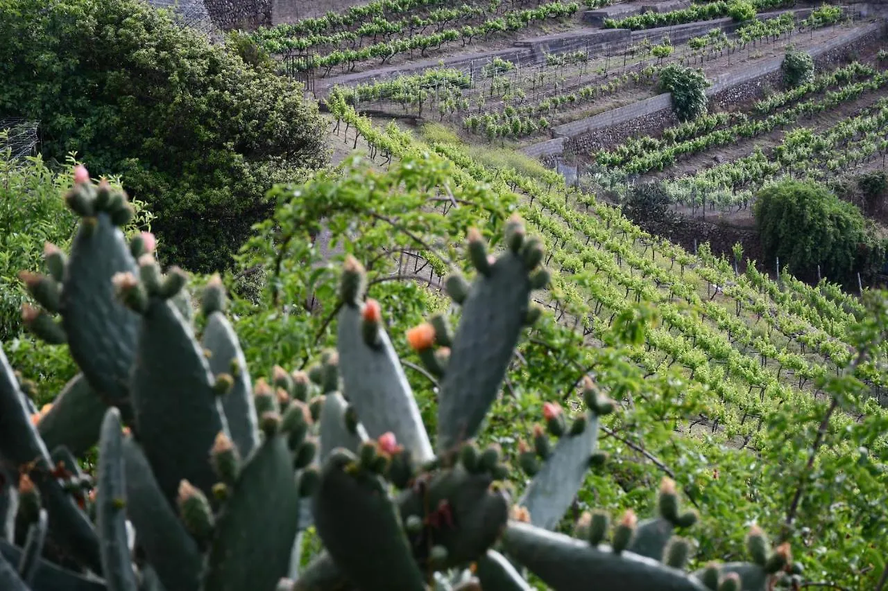 Haciendas del Valle - Casa San Miguel Valle de Guerra Casa rural